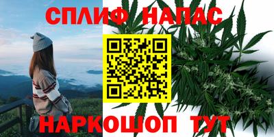сатива Краснознаменск