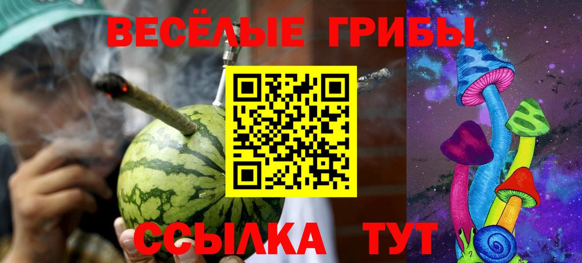 Карачаевск  Псилоцибиновые грибы Psilocybe  Вход с VPN 