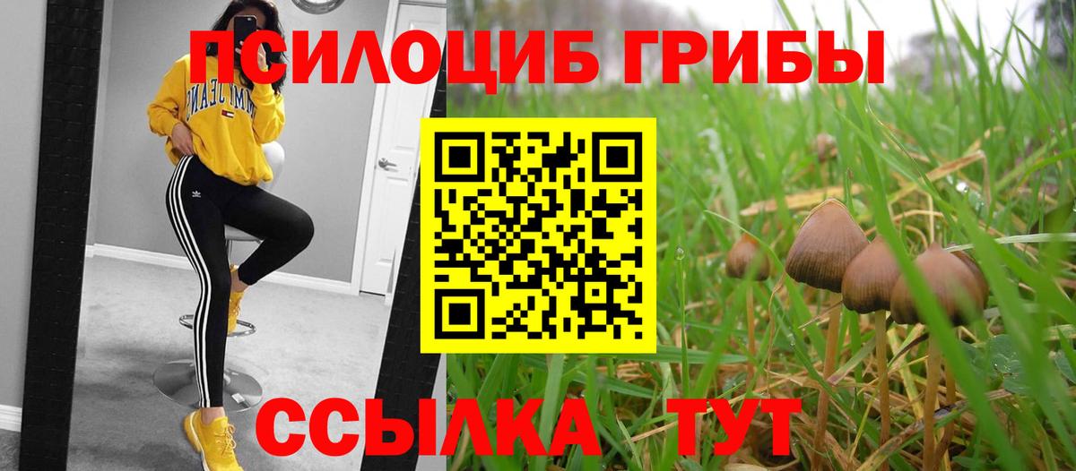 Галлюциногенные грибы мухоморы Карачаевск